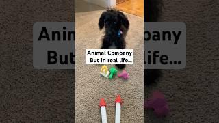 Should I accept this trade?  #animalcompany #gorillatag #animalcompanyvr #gorillatagquest #vr
