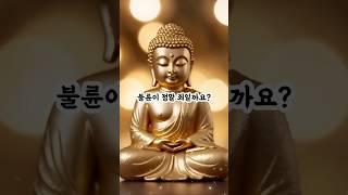 외도는 왜 죄가 될까? 부처님의 가르침 #부처님말씀 #부처님의가르침 #부처님은혜 #불교오디오북 #오디오북