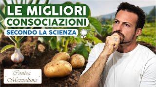 Consociazioni Efficaci nell'Orto: Le Migliori Combinazioni di Piante (Secondo la Scienza)