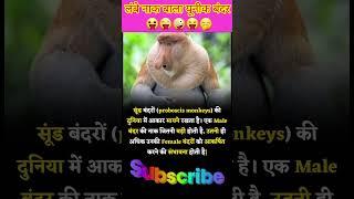 world unique monkey |Amazing Facts |Interesting facts|@Amazingfacts421 #viral #shortfeed #shots#yt