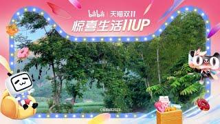 惊喜生活11UP