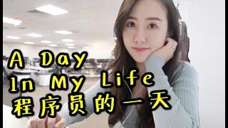 程序员的一天 | 码农在美国的日常 | A day in the life of a Software Engineer