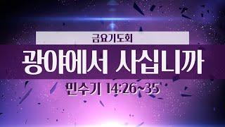 [세광교회-금요기도회] 광야에서 사십니까 | 유창진 목사 | 2024-1220