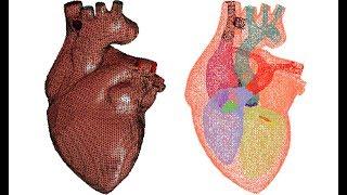 Jessica Zhang: Image Modeling for Biomedical Organs