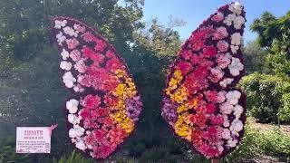 WHAT BLOOMS IN SPRING? VISITING SOUTH COAST BOTANICAL GARDEN #botanicalgarden  #southerncalifornia