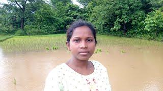 Rainy season came /heavy rain fall /bill started working /sambari tribe vlogs.