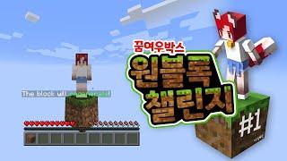 땅 한 칸에서 살라더니 식구가 왜 이렇게 많아?! 원 블록 챌린지 #1 [마크]