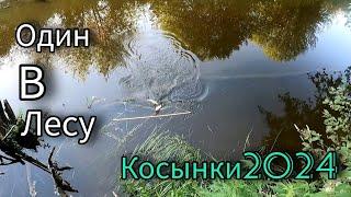 НЕ УСПЕЛ ПОСТАВИТЬ , УЖЕ ПОПАЛОСЬ. РЫБАЛКА НА ЭКРАНЫ НА МИКРОРЕЧКЕ. ЛЕТО 2024.