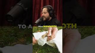 Unlocking Mammoth Genetics Ethical DNA Editing Explained - Ben Lamm #jreclips #jre #extinctanimals