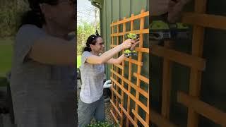 DIY Vertical Planter - Wall Planter - #shorts