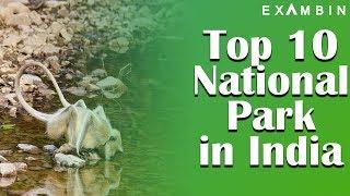 Top 10 National Park in India | General Awareness, Static GK series for Bank PO, UPSC, SSC