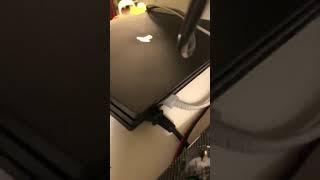 PS4Pro fan noise