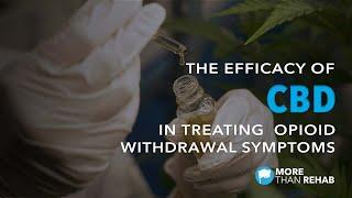 The Efficacy of CBD in Treating Opioid Withdrawal Symptoms | More Than Rehab, Houston, Texas