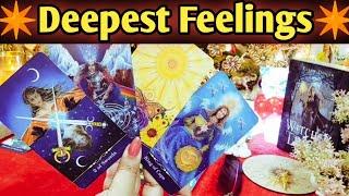 Current Feelings ⭐Messages From Your Person All Signs Collective Timeless Tarot Reading