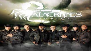Alacranes Musical Mix de Éxitos