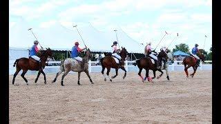 Polo in the Park helps to ‘stirrup’ excitement at Wesley Clover Parks