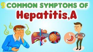 9 Common Symptoms of Hepatitis a | Cause of Hepatitis a | Nourish Nest