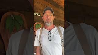 Speed Q&A with Matt #celebratingappalachia