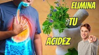 ACIDEZ ESTOMACAL: ELIMÍNALA con estos 8 HÁBITOS saludables #reflujo #gastritis #salud