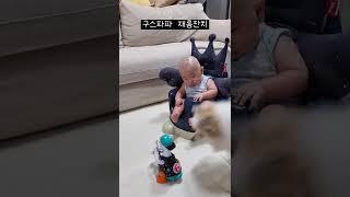 구스파파 재롱잔치‍️