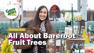 All About Bareroot Fruit Trees (What they are and how to plant)