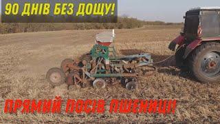 Шок 90 днів без дощу!! Рвемо трактор МТЗ з Сівалкою! Прямий посів Пшениці!