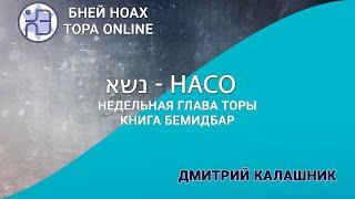 Недельная глава Торы - Парашат а-шавуа - "Насо" 5784/2024. Дмитрий Калашник