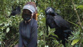 Mountain Gorilla Trekking in Uganda