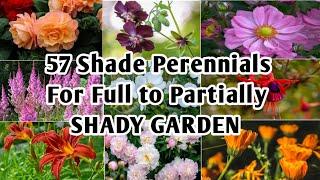 57 Shade Perennials For Full to Partial Shade Garden | Shade Garden Perennials | Plant and Planting