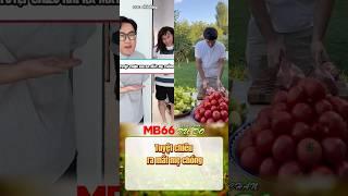 Tuyệt chiêu ra mắt mẹ chồng #DramaVuiNhộn #HàiHước