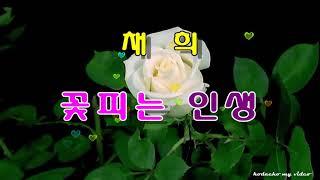 채 희  꽃피는 인생 (2017년 7월 5일 정규앨범 수록곡)
