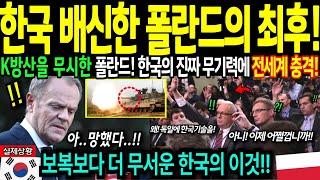 [해외감동사연] 한국 배신한 폴란드의 최후! 한국 무기보다 더 무서운 이것에 폴란드 벌벌 떠는 이유! 전세계 충격!