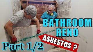 Total Bathroom Renovation with Full Step by Step Instructions! Part 1 Up to, Applying Waterproofing