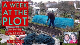 Frost & Cold, Coombe Hill Tree Work, Sowing Broad Beans in the Rain: AWATP 18-24 Nov '24