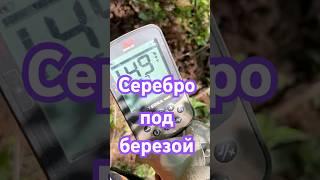 #копатель #metaldetecting #находкисметаллоискателем #металлоискатель #копвпосадке #коп #mountains
