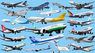 Top 20 Airlines Dominating the Cargo Industry in 2024!