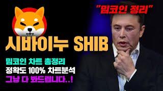 시바이누 SHIB [긴급] 시바이누 도지 브렛 캣인어독스월드 봉크 다봐드림..! 정확도 100% 차트분석, 영상 필수시청..! #코인시황