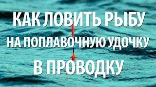 РЫБАЛКА в ПРОВОДКУ на ПОПЛАВОЧНУЮ УДОЧКУ для НАЧИНАЮЩИХ