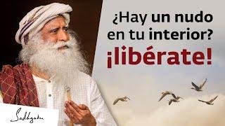 Una vida totalmente liberada | Sadhguru