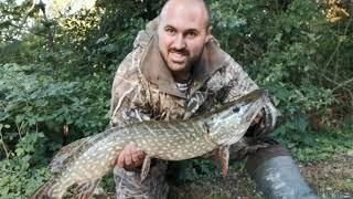 River lure fishing for pike and perch all caught on different lures great visual takes (Video 19)