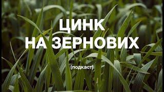 Цинк: потреба культур, доцільність внесення, сумісність з іншими елементами (подкаст) / СуперАгроном