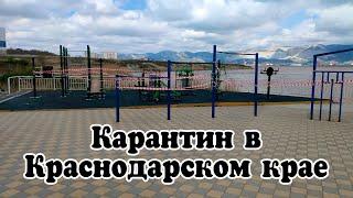 Карантин в Краснодарском крае | Обращение губернатора