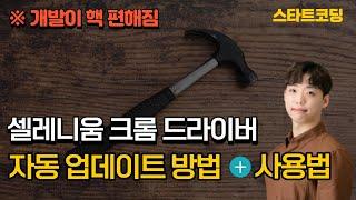 셀레니움 크롬 드라이버 자동 업데이트 방법, [버전 4] 사용법 가이드