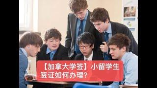 【加拿大签证】小留学生如何办理学生签证？通过率如何！