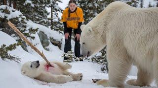 A rescue team saves a baby bear, giving it hope and a second chance at life