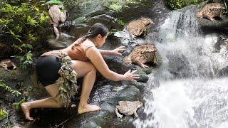 Catching wild frogs. In streams, caves, high waterfalls in the middle of the wild forest. Đặng Thủy