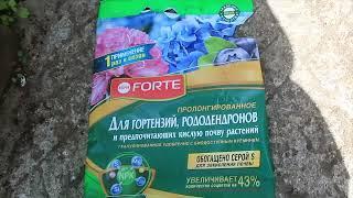 УДОБРЯЕМ РОДОДЕНДРОНЫ и ГОРТЕНЗИИ ПРАВИЛЬНО
