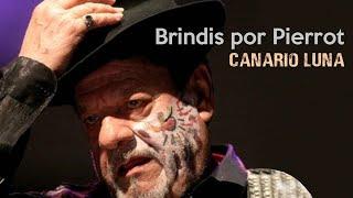 Brindis por Pierrot - Canario Luna