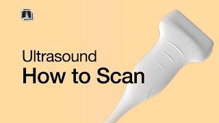 Ultrasound: How to Scan