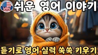 영어 듣기를 이해하기 시작하세요  짧은 이야기 '길에서 만난 작은 고양이'